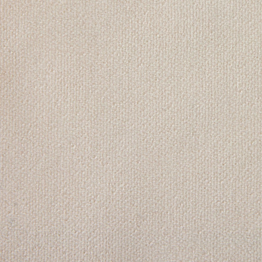 Bone Fabric Swatch